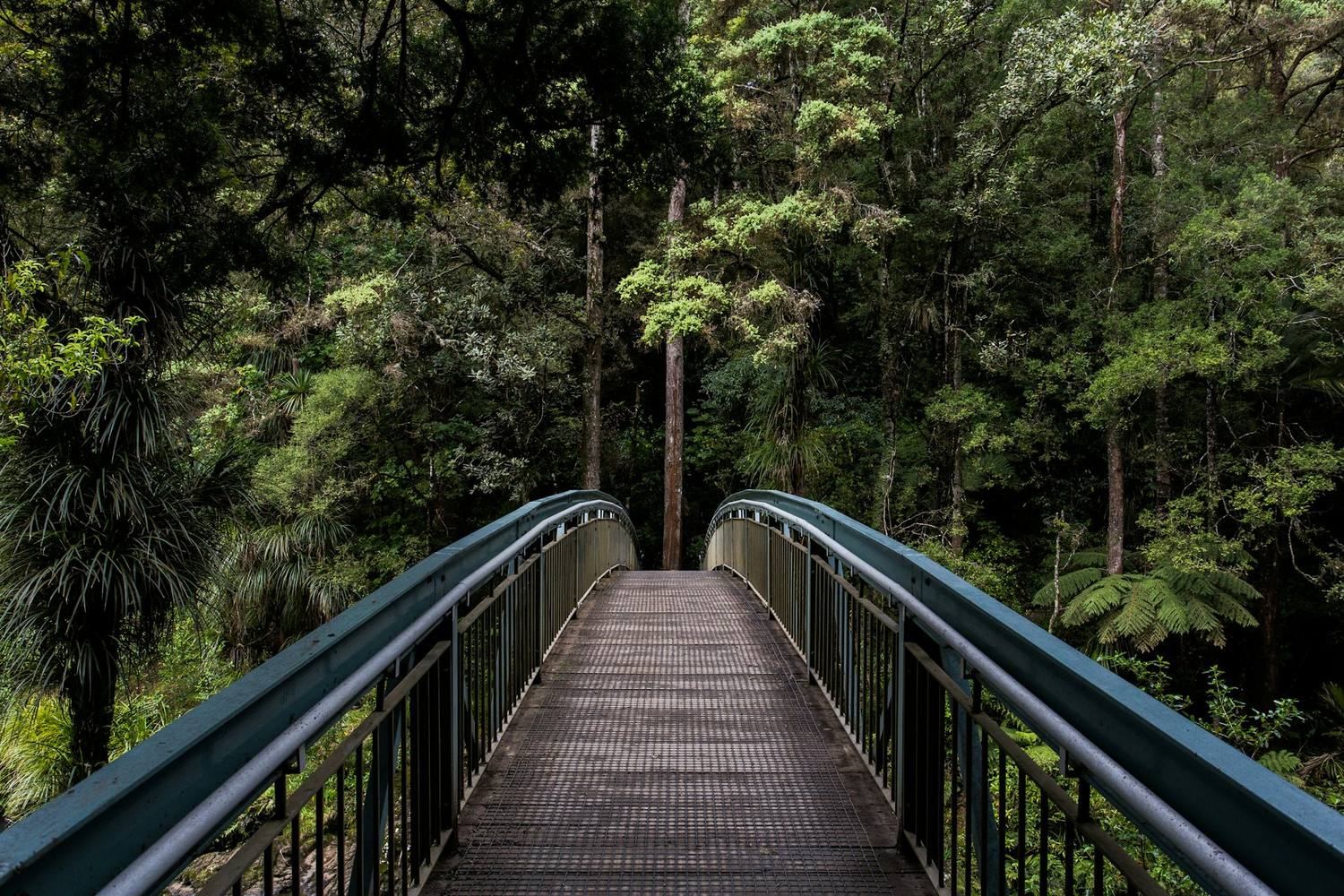 Puente de madera que cruza un bosque verde, símbolo de avanzar paso a paso